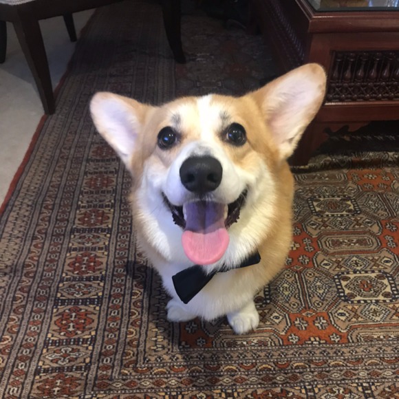 mikechu